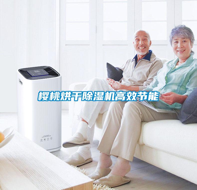 櫻桃烘干除濕機高效節能