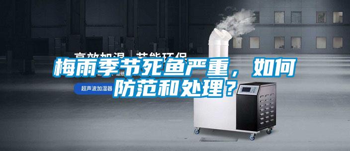 梅雨季節死魚嚴重，如何防范和處理？