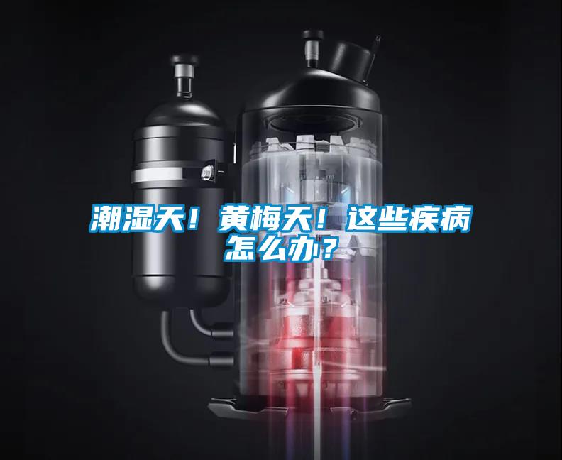 潮濕天！黃梅天！這些疾病怎么辦？