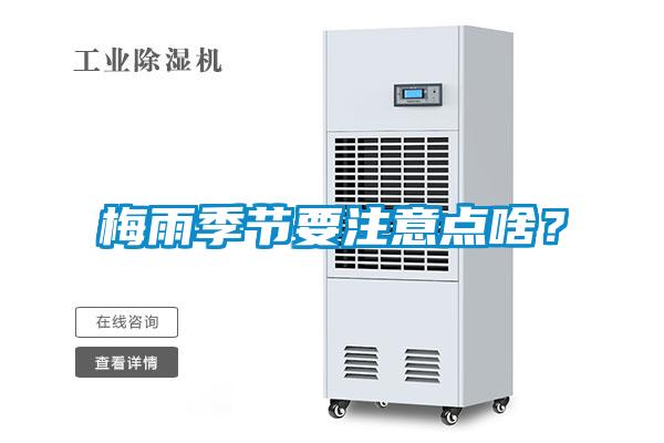 梅雨季節要注意點啥？