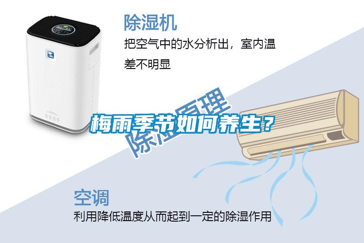 梅雨季節如何養生？