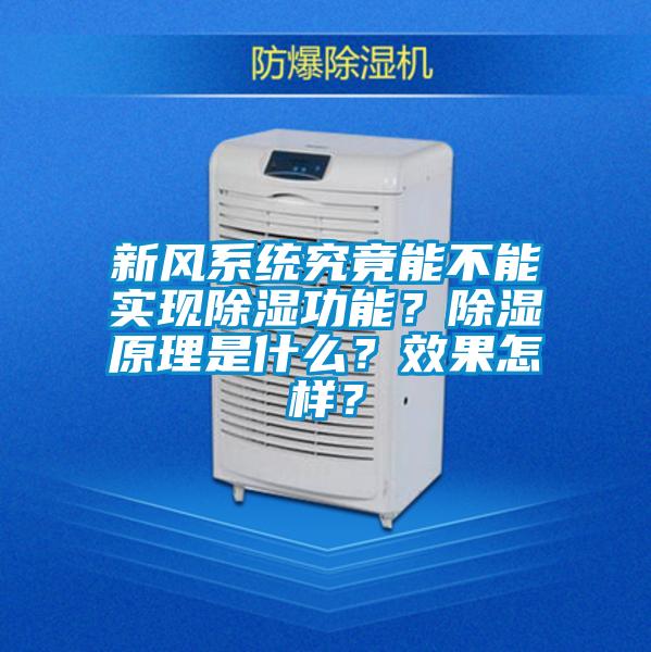 新風系統究竟能不能實現除濕功能？除濕原理是什么？效果怎樣？