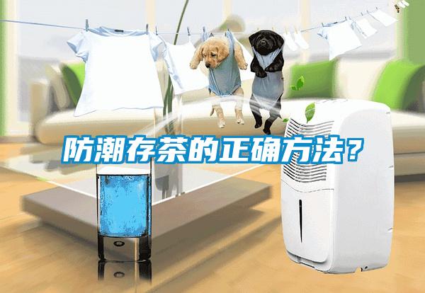 防潮存茶的正確方法？