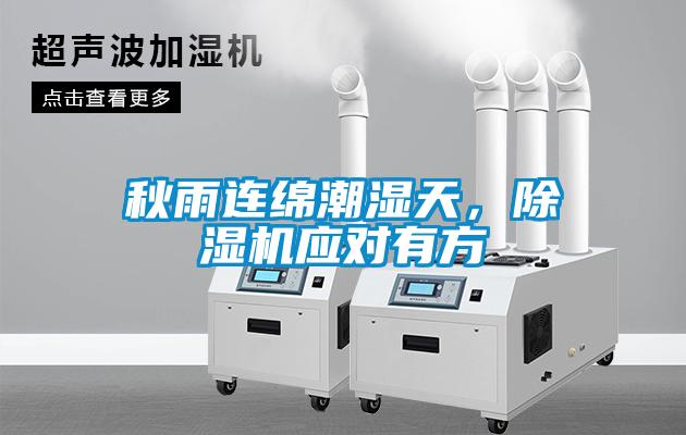 秋雨連綿潮濕天，除濕機應對有方
