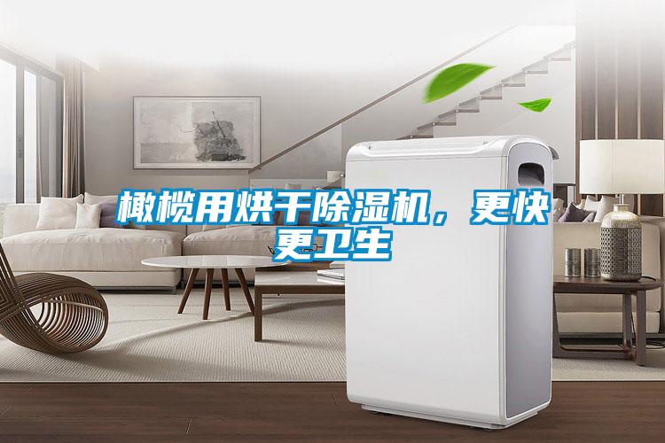 橄欖用烘干除濕機，更快更衛生