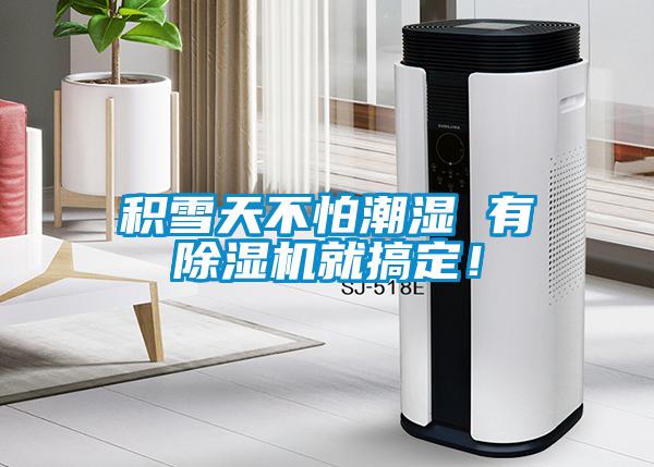 積雪天不怕潮濕 有除濕機就搞定！