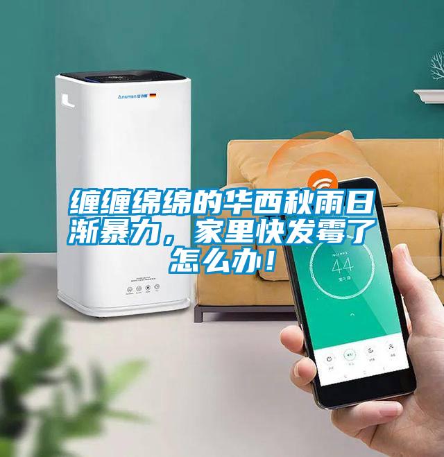 纏纏綿綿的華西秋雨日漸暴力，家里快發霉了怎么辦！