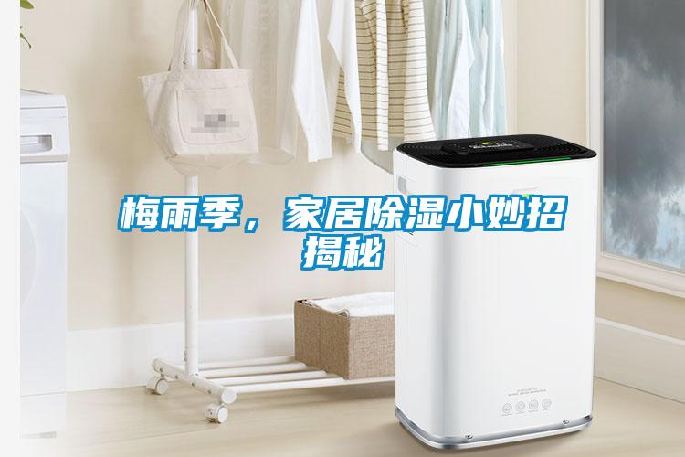 梅雨季，家居除濕小妙招揭秘