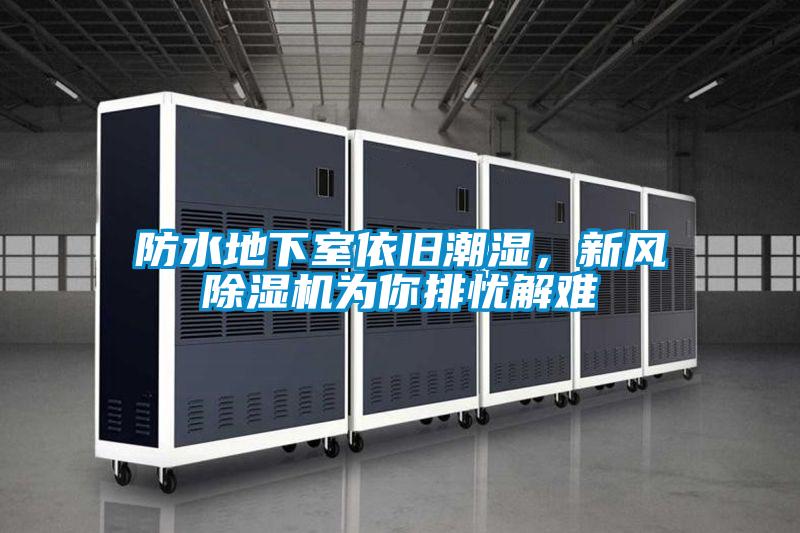 防水地下室依舊潮濕，新風除濕機為你排憂解難