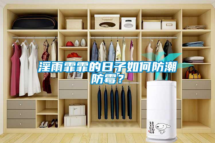 淫雨霏霏的日子如何防潮防霉？