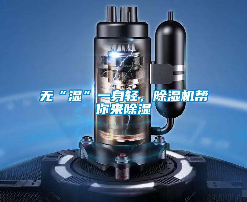 無“濕”一身輕，除濕機幫你來除濕