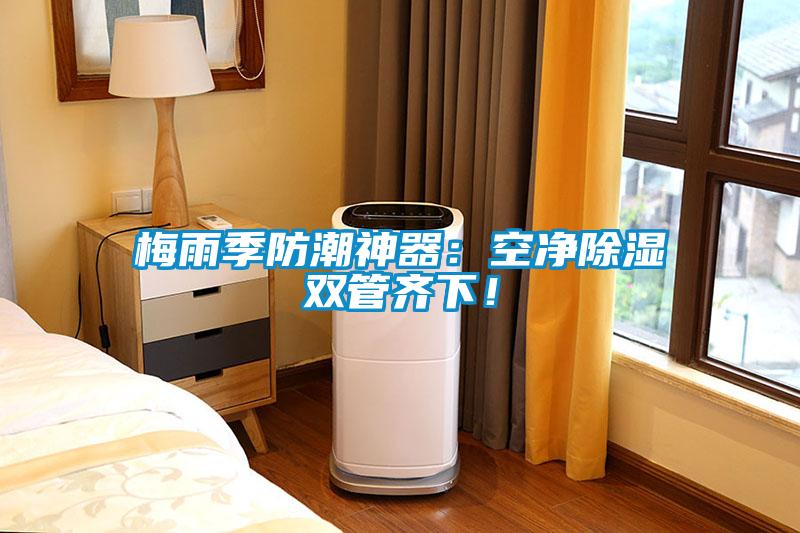 梅雨季防潮神器：空凈除濕雙管齊下！