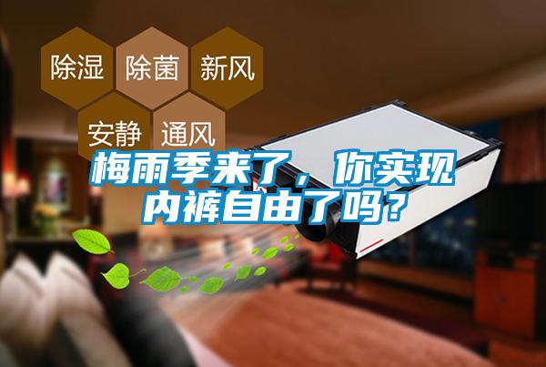 梅雨季來了，你實現內褲自由了嗎？