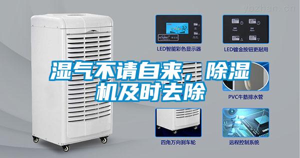 濕氣不請自來，除濕機及時去除