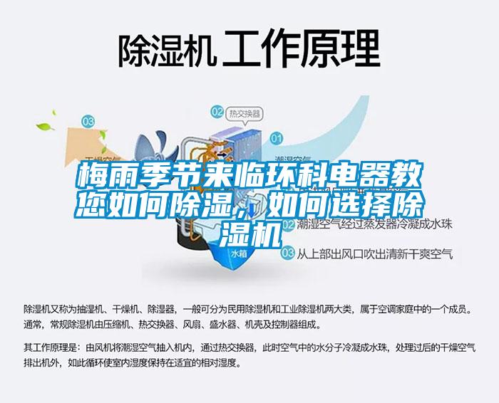 梅雨季節來臨環科電器教您如何除濕，如何選擇除濕機