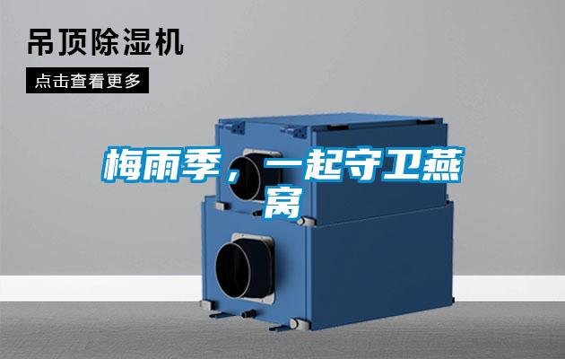 梅雨季，一起守衛燕窩