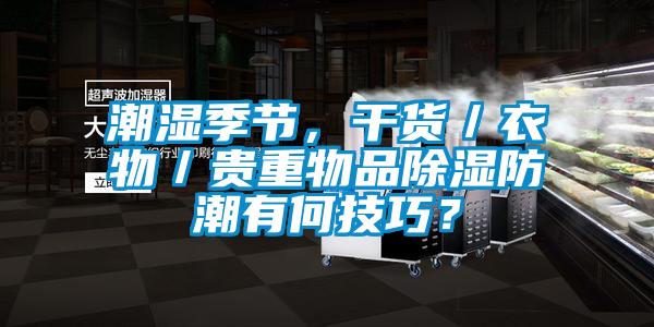 潮濕季節，干貨／衣物／貴重物品除濕防潮有何技巧？