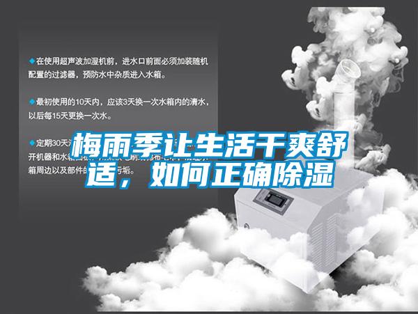 梅雨季讓生活干爽舒適，如何正確除濕