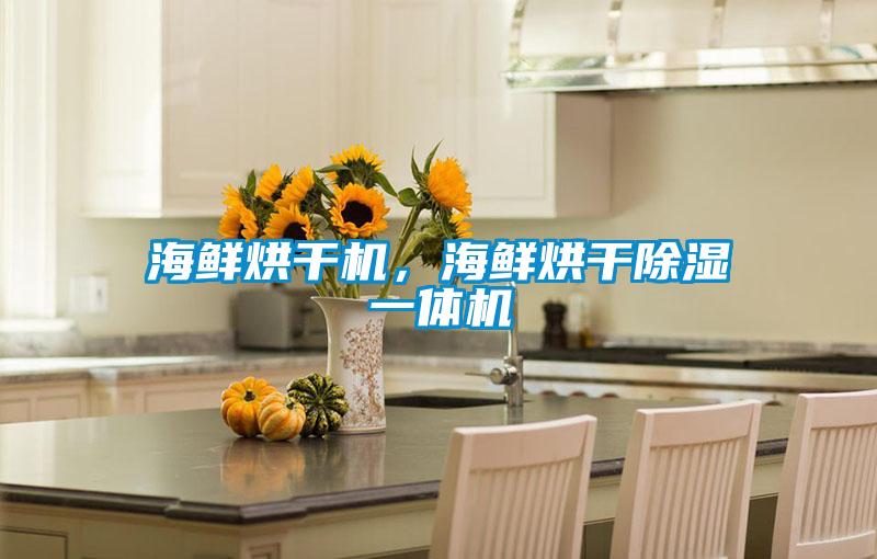 海鮮烘干機，海鮮烘干除濕一體機