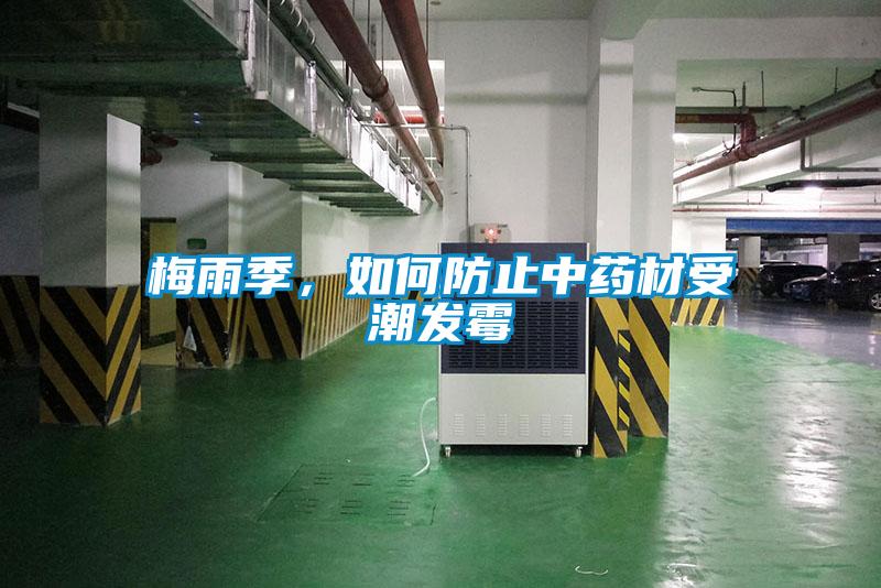 梅雨季，如何防止中藥材受潮發霉