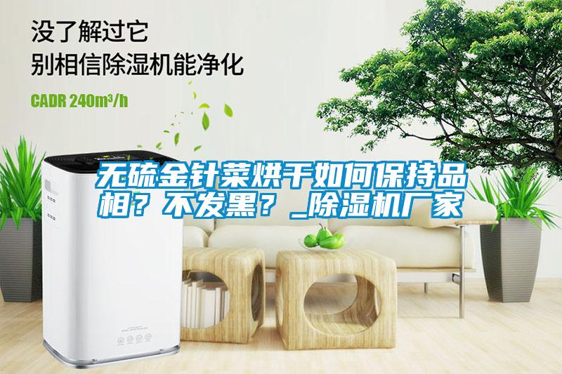 無硫金針菜烘干如何保持品相？不發黑？_除濕機廠家