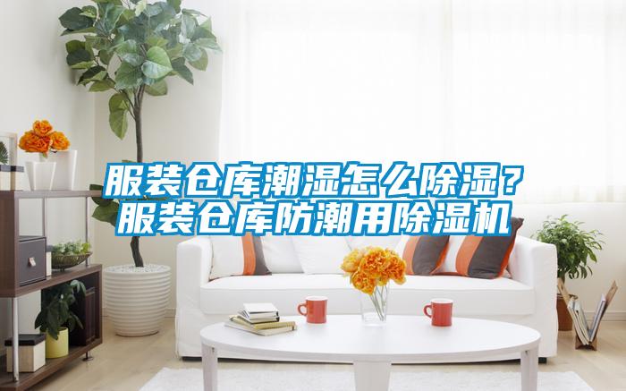 服裝倉庫潮濕怎么除濕？服裝倉庫防潮用除濕機