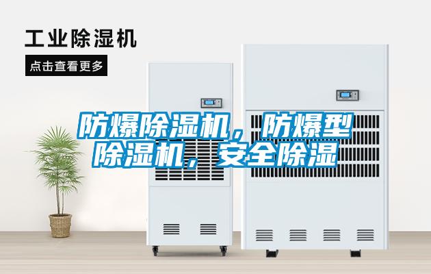防爆除濕機，防爆型除濕機，安全除濕