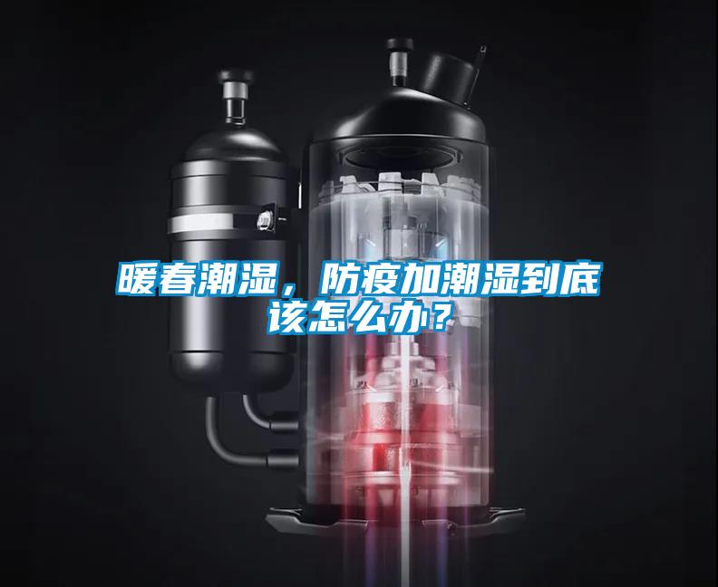 暖春潮濕，防疫加潮濕到底該怎么辦？
