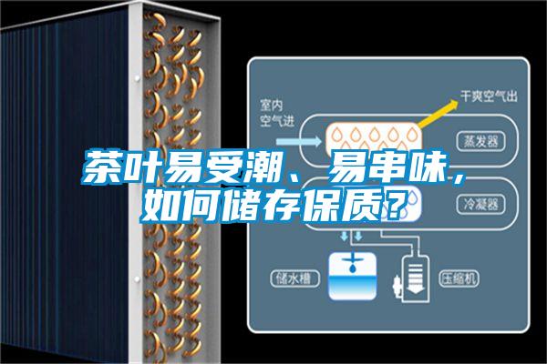 茶葉易受潮、易串味，如何儲存保質？