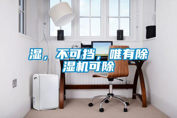 濕，不可擋，唯有除濕機可除
