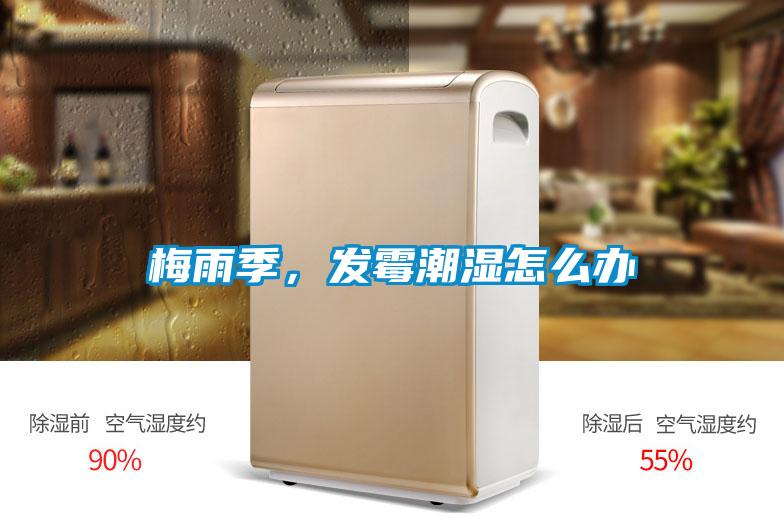 梅雨季，發霉潮濕怎么辦