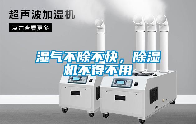濕氣不除不快，除濕機不得不用