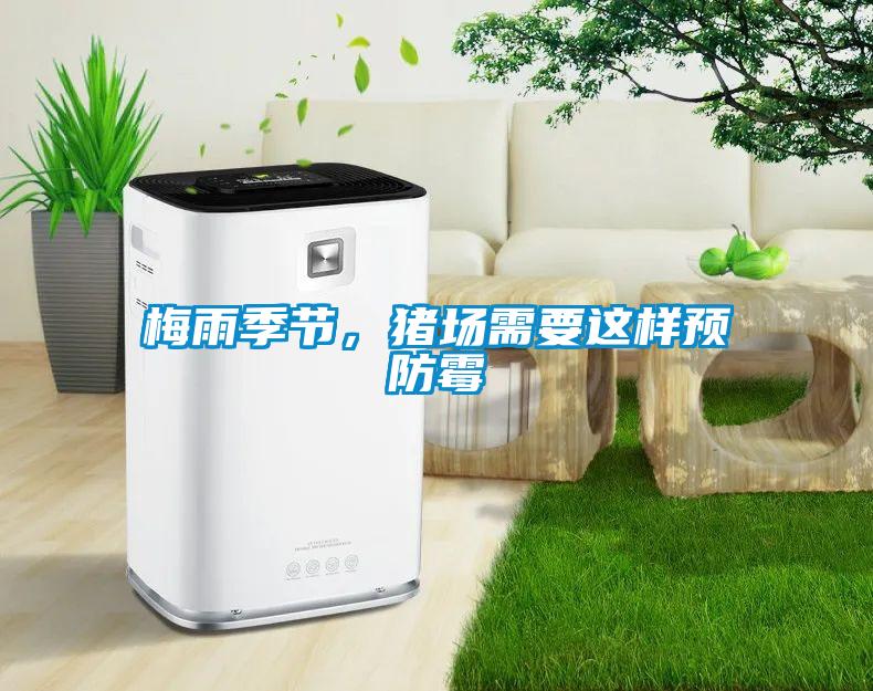 梅雨季節，豬場需要這樣預防霉