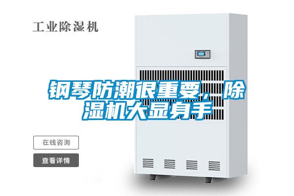 鋼琴防潮很重要，除濕機大顯身手