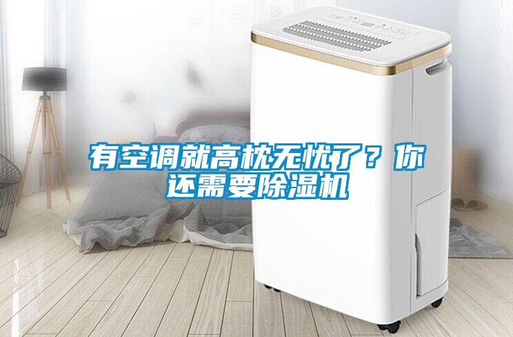 有空調就高枕無憂了？你還需要除濕機