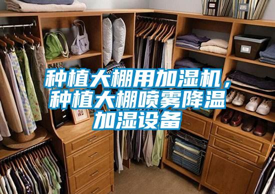 種植大棚用加濕機，種植大棚噴霧降溫加濕設備