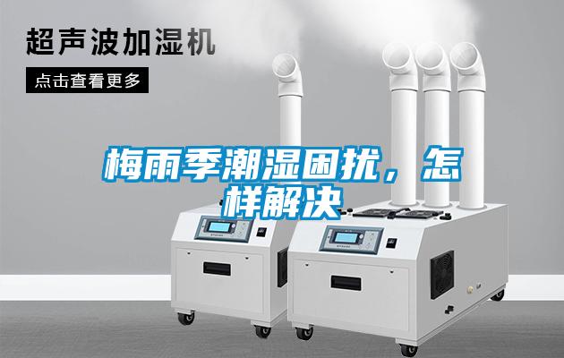 梅雨季潮濕困擾，怎樣解決