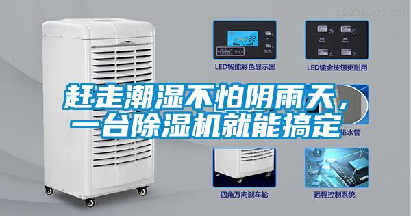 趕走潮濕不怕陰雨天，一臺除濕機就能搞定