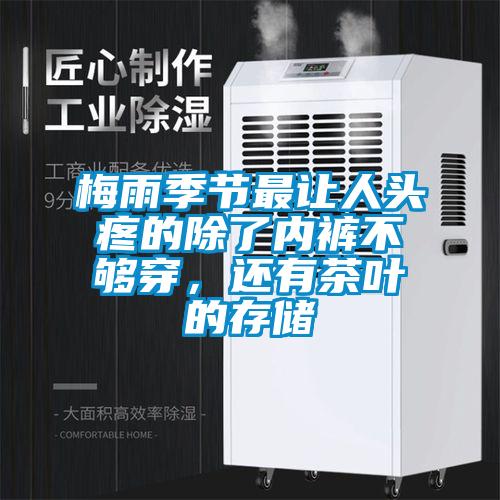 梅雨季節最讓人頭疼的除了內褲不夠穿，還有茶葉的存儲