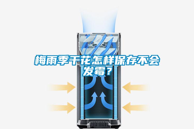 梅雨季干花怎樣保存不會發霉？