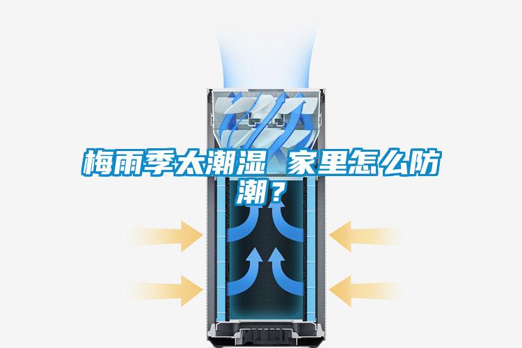 梅雨季太潮濕 家里怎么防潮？