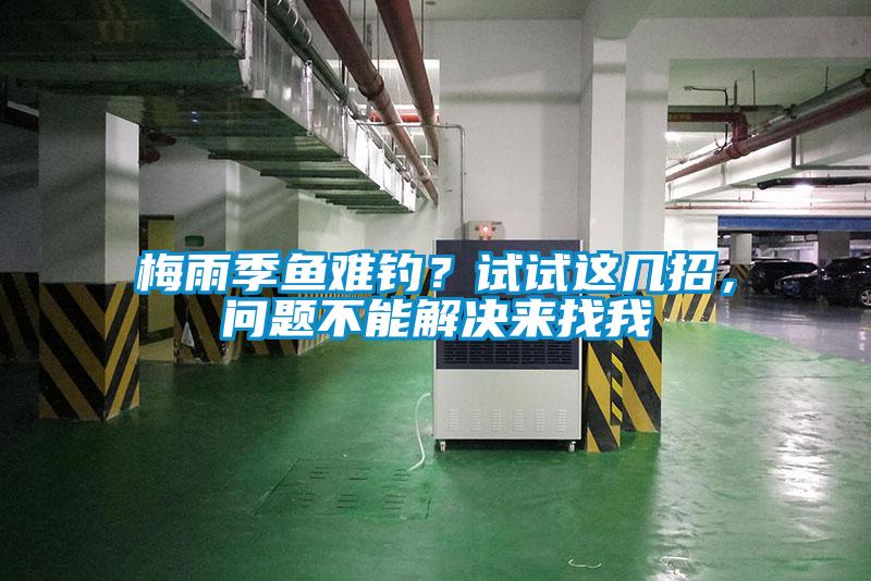 梅雨季魚難釣？試試這幾招，問題不能解決來找我