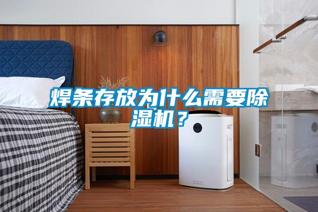 焊條存放為什么需要除濕機？