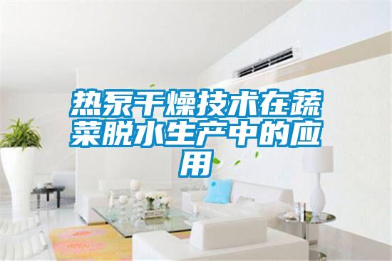 熱泵干燥技術在蔬菜脫水生產中的應用