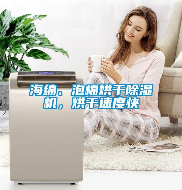 海綿、泡棉烘干除濕機，烘干速度快