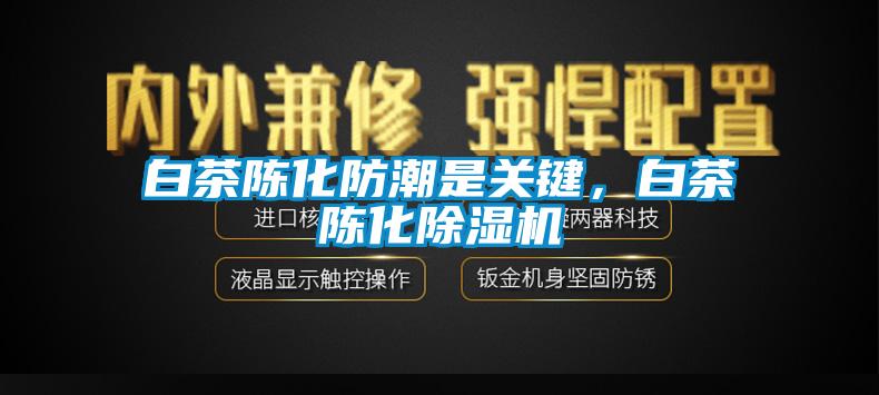 白茶陳化防潮是關鍵，白茶陳化除濕機
