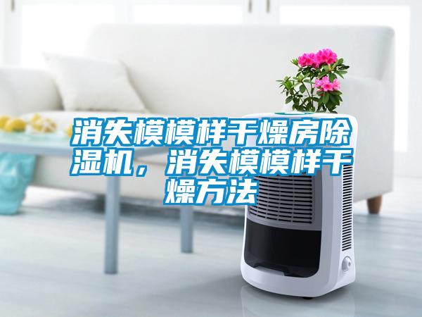 消失模模樣干燥房除濕機，消失模模樣干燥方法
