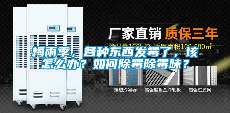 梅雨季，各種東西發霉了，該怎么辦？如何除霉除霉味？