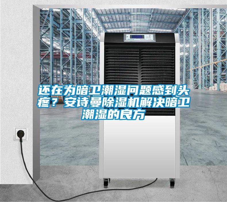 還在為暗衛潮濕問題感到頭疼？安詩曼除濕機解決暗衛潮濕的良方