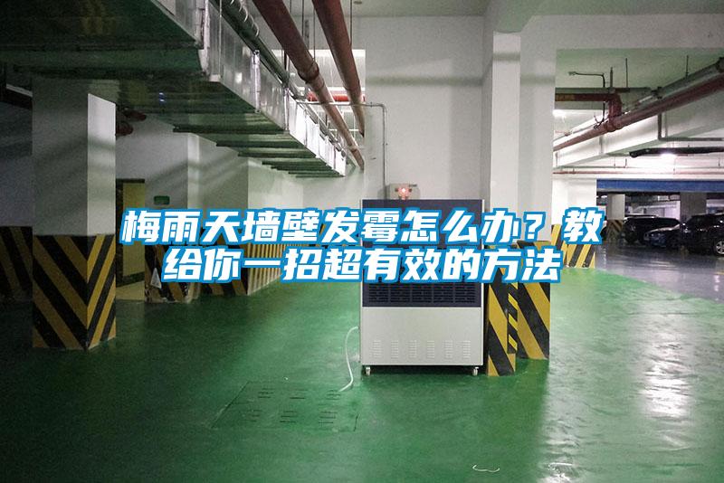 梅雨天墻壁發霉怎么辦？教給你一招超有效的方法